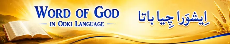 OLTP Banner
